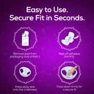 The Elevated - Duo (Pack of 2 Boxes) - Image 5