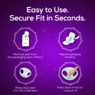 The Essential - Image 5