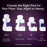 The Shift (Combo of XL+ Pad + Panty Liner) - Image 8