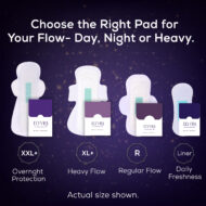 The Full Cycle (Combo of XXL+ Pad & Panty Liner) - Image 8