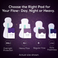 The Foundation (Combo of Regular Pad + Panty Liner) - Image 8