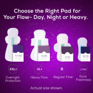 The Elevated - Duo (Pack of 2 Boxes) - Image 8