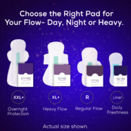 The After Dark - Image 8