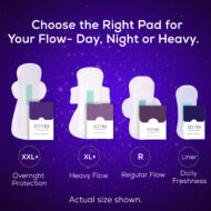 The Authority (Pack of 1 Combo) - Image 8