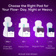 The Essential - Image 8