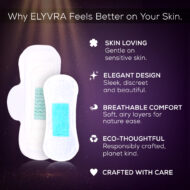 The Foundation (Combo of Regular Pad + Panty Liner) - Image 3