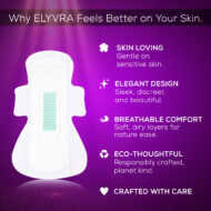 The Elevated - Duo (Pack of 2 Boxes) - Image 3