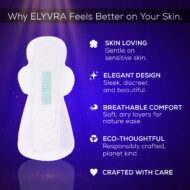 The After Dark - Image 3